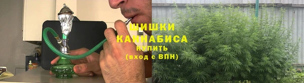 сатива Вязники