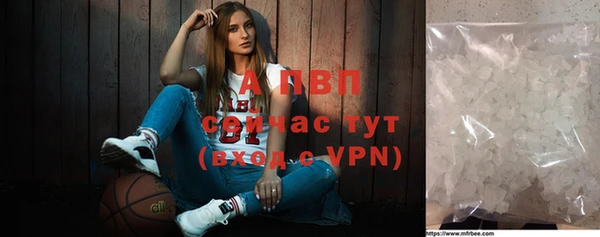 прущий лед Вяземский