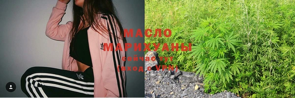 прущий лед Вяземский