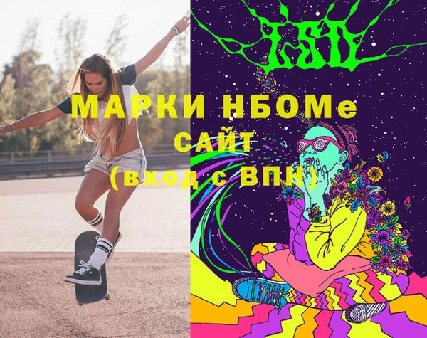 прущий лед Вяземский