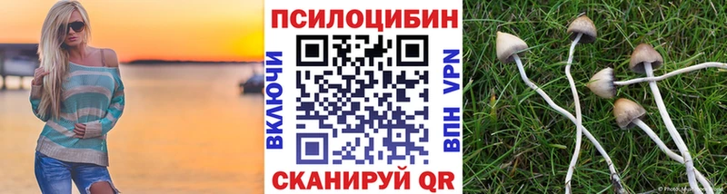 Галлюциногенные грибы GOLDEN TEACHER Купить Верещагино